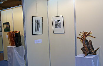 ARTERIA 2007